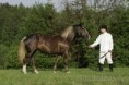 /album/potomstvo-hrebce-2775-neugo/2004-slunecnice-46-622-sn-jpg/